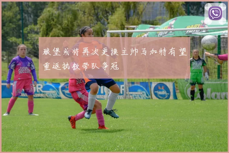 狼堡或将再次更换主帅马加特有望重返执教带队争冠
